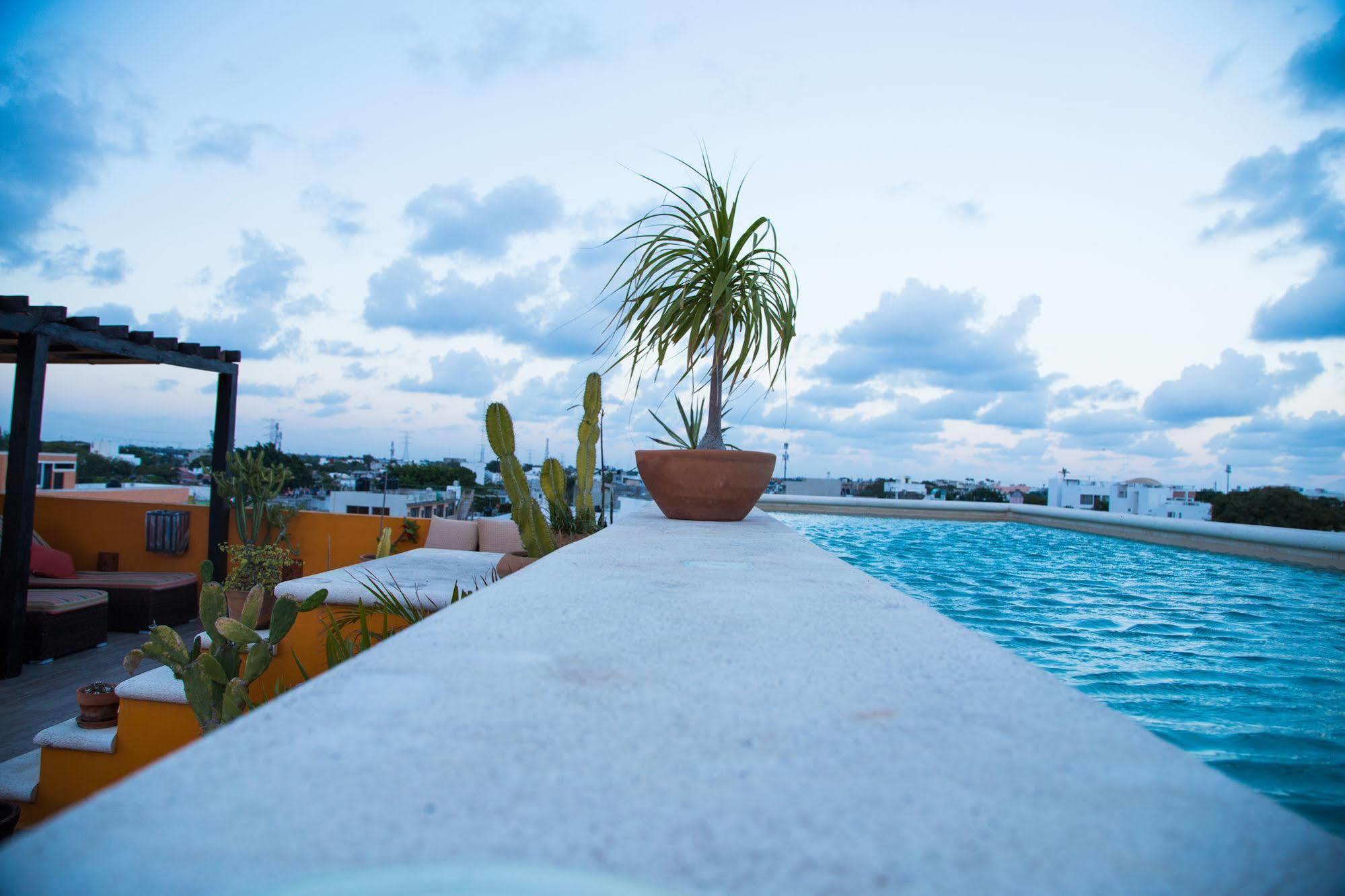 La Galeria By Bunik Playa del Carmen Exterior foto